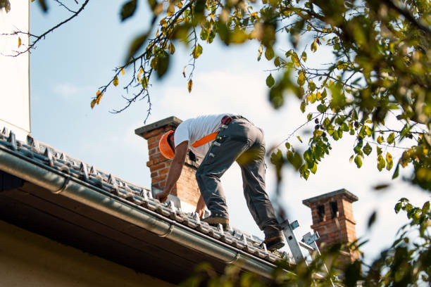 Best Roof Gutter Cleaning  in Atco, NJ